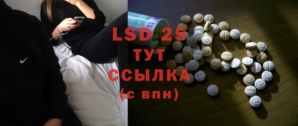 индика Алзамай