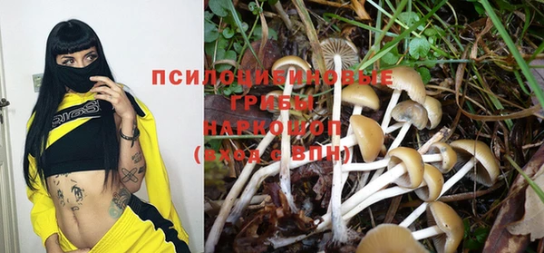 герыч Алексин