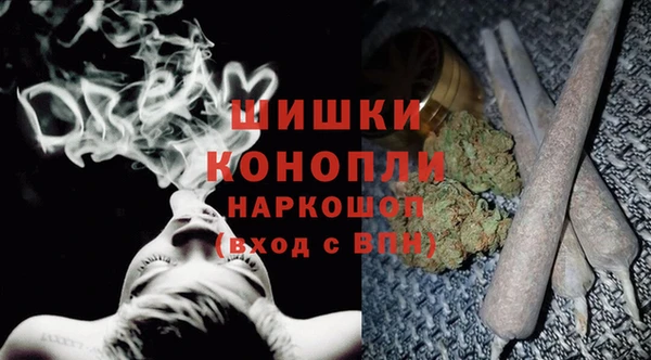 индика Алзамай